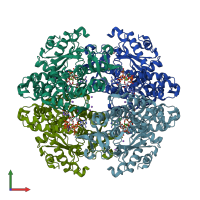 PDB entry 6dwj coloured by chain, front view.