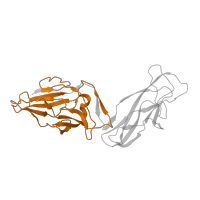 The deposited structure of PDB entry 6e15 contains 1 copy of Pfam domain PF09160 (FimH, mannose binding) in Type 1 fimbrin D-mannose specific adhesin. Showing 1 copy in chain E [auth H].