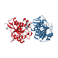 The deposited structure of PDB entry 6e7s contains 4 copies of CATH domain 3.40.50.2300 (Rossmann fold) in Glutamate receptor ionotropic, NMDA 1. Showing 2 copies in chain A.