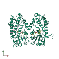 Homo dimeric assembly 1 of PDB entry 6ecq coloured by chemically distinct molecules, front view.