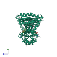 Homo dimeric assembly 1 of PDB entry 6ecq coloured by chemically distinct molecules, side view.