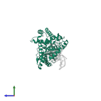 Cyclic GMP-AMP synthase in PDB entry 6edb, assembly 1, side view.