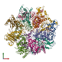 PDB entry 6ef0 coloured by chain, front view.