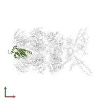 Proteasome subunit beta type-5 in PDB entry 6ef3, assembly 1, front view.