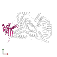 Ragulator complex protein LAMTOR4 in PDB entry 6ehr, assembly 1, front view.