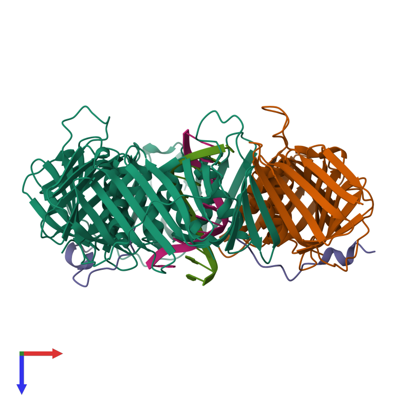 <div class='caption-body'><ul class ='image_legend_ul'>The deposited structure of PDB entry 6eht coloured by chemically distinct molecules and viewed from the top. The entry contains: <li class ='image_legend_li'>2 copies of Proliferating cell nuclear antigen</li> <li class ='image_legend_li'>1 copy of Proliferating cell nuclear antigen</li> <li class ='image_legend_li'>2 copies of PCNA-associated factor</li> <li class ='image_legend_li'>1 copy of DNA (5'-D(P*AP*TP*AP*CP*GP*AP*TP*GP*GP*G)-3')</li> <li class ='image_legend_li'>1 copy of DNA (5'-D(P*CP*CP*CP*AP*TP*CP*GP*TP*AP*T)-3')</li><li class ='image_legend_li'>[]</li></ul></li></ul></li></div>