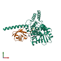 PDB entry 6ei1 coloured by chain, front view.