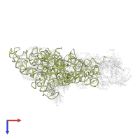 25S ribosomal RNA in PDB entry 6em3, assembly 1, top view.