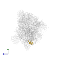 Large ribosomal subunit protein eL18A in PDB entry 6em5, assembly 1, side view.