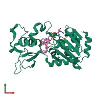 3D model of 6enx from PDBe