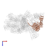 26S proteasome non-ATPase regulatory subunit 1 in PDB entry 6epe, assembly 1, top view.