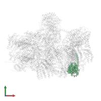 26S proteasome non-ATPase regulatory subunit 13 in PDB entry 6epe, assembly 1, front view.