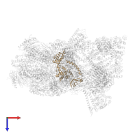 26S proteasome regulatory subunit 4 in PDB entry 6epe, assembly 1, top view.