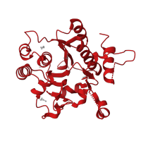 The deposited structure of PDB entry 6eqj contains 1 copy of CATH domain 3.90.550.10 (Spore Coat Polysaccharide Biosynthesis Protein SpsA; Chain A) in Glycogenin-1. Showing 1 copy in chain A.