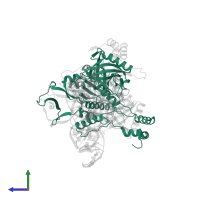 X-ray repair cross-complementing protein 6 in PDB entry 6erh, assembly 1, side view.