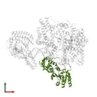 Dimethyladenosine transferase 2, mitochondrial in PDB entry 6erq, assembly 1, front view.