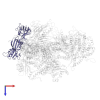 DNA-directed RNA polymerases I and III subunit RPAC1 in PDB entry 6eu2, assembly 1, top view.