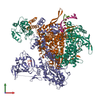 PDB entry 6evk coloured by chain, front view.