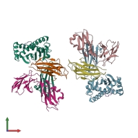 PDB entry 6ewo coloured by chain, front view.