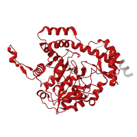 The deposited structure of PDB entry 6ewr contains 4 copies of Pfam domain PF01041 (DegT/DnrJ/EryC1/StrS aminotransferase family) in Putative capsular polysaccharide biosynthesis protein. Showing 1 copy in chain C.