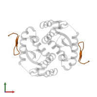 Inhibitor Peptide in PDB entry 6ex9, assembly 1, front view.