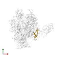 DNA-directed RNA polymerases I, II, and III subunit RPABC2 in PDB entry 6exv, assembly 1, front view.