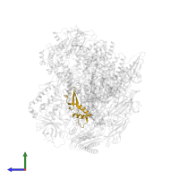 DNA-directed RNA polymerases I, II, and III subunit RPABC2 in PDB entry 6exv, assembly 1, side view.