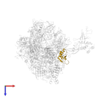 DNA-directed RNA polymerases I, II, and III subunit RPABC2 in PDB entry 6exv, assembly 1, top view.