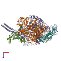 PDB entry 6eyd coloured by chain, top view.