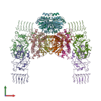 PDB entry 6ezo coloured by chain, front view.