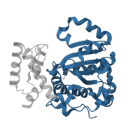 The deposited structure of PDB entry 6f0e contains 1 copy of CATH domain 3.40.525.10 (Phosphatidylinositol Transfer Protein Sec14p) in SEC14 cytosolic factor. Showing 1 copy in chain A.