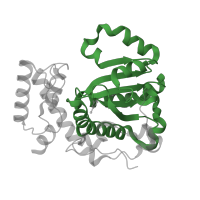 The deposited structure of PDB entry 6f0e contains 1 copy of Pfam domain PF00650 (CRAL/TRIO domain) in SEC14 cytosolic factor. Showing 1 copy in chain A.