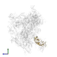 DNA-directed RNA polymerase III subunit RPC8 in PDB entry 6f40, assembly 1, side view.