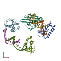 PDB entry 6f5f coloured by chain, front view.