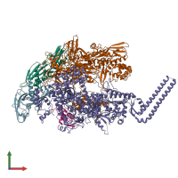 PDB entry 6f6w coloured by chain, front view.