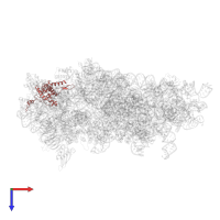 Small ribosomal subunit protein uS7 in PDB entry 6fai, assembly 1, top view.