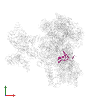 Small ribosomal subunit protein uS4 in PDB entry 6fec, assembly 1, front view.