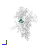 Small ribosomal subunit protein uS2 in PDB entry 6fec, assembly 1, side view.