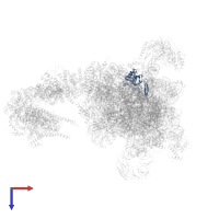 Small ribosomal subunit protein eS8 in PDB entry 6fec, assembly 1, top view.