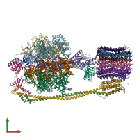 PDB entry 6fkf coloured by chain, front view.