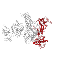 The deposited structure of PDB entry 6flp contains 1 copy of Pfam domain PF00562 (RNA polymerase Rpb2, domain 6) in DNA-directed RNA polymerase subunit beta. Showing 1 copy in chain C.