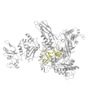 The deposited structure of PDB entry 6flp contains 1 copy of Pfam domain PF04565 (RNA polymerase Rpb2, domain 3) in DNA-directed RNA polymerase subunit beta. Showing 1 copy in chain C.