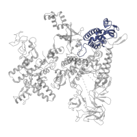 The deposited structure of PDB entry 6flp contains 1 copy of Pfam domain PF04983 (RNA polymerase Rpb1, domain 3) in DNA-directed RNA polymerase subunit beta'. Showing 1 copy in chain D.