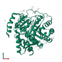 Dihydroorotate dehydrogenase (quinone), mitochondrial in PDB entry 6fmd, assembly 1, front view.