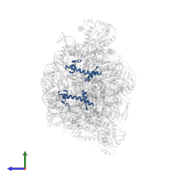 Histone H4 in PDB entry 6fml, assembly 1, side view.