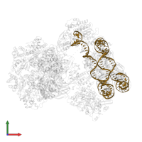 Nucleosomal DNA Strand 1 in PDB entry 6fml, assembly 1, front view.