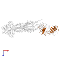 UIC2 Antigen Binding Fragment Light chain in PDB entry 6fn4, assembly 1, top view.