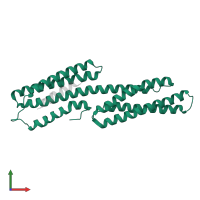 Vinculin in PDB entry 6fq4, assembly 1, front view.