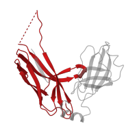 The deposited structure of PDB entry 6fqa contains 2 copies of Pfam domain PF00345 (Pili and flagellar-assembly chaperone, PapD N-terminal domain) in Pili assembly chaperone N-terminal domain-containing protein. Showing 1 copy in chain A.