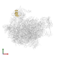 Large ribosomal subunit protein uL5A in PDB entry 6ft6, assembly 1, front view.